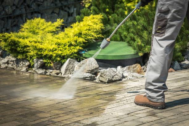 Best Soft Washing  in Morada, CA